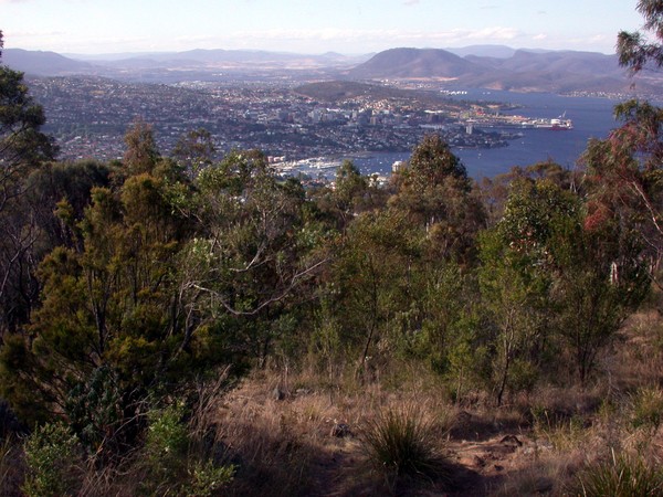 Mt Nelson Lookout